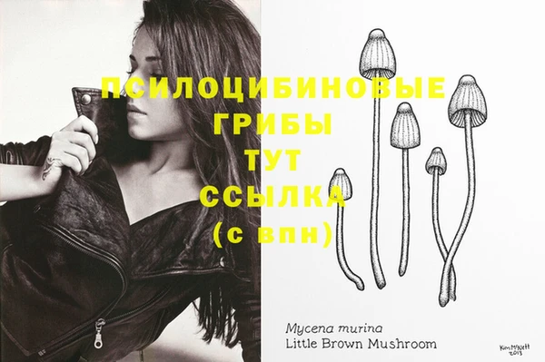 мяу мяу мука Абинск