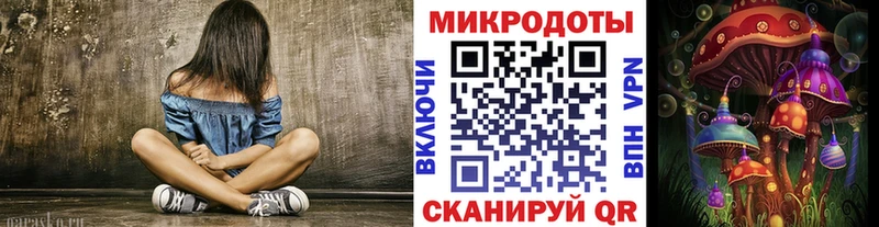 как найти Барыш Псилоцибиновые грибы Psilocybine cubensis